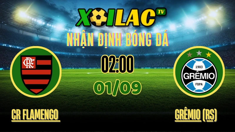 Nhận định CR Flamengo vs Grêmio 01/09/2025 – Trực tiếp bóng đá Serie A Brazil trên Xoilac TV